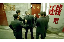 沙湾区融资清欠服务